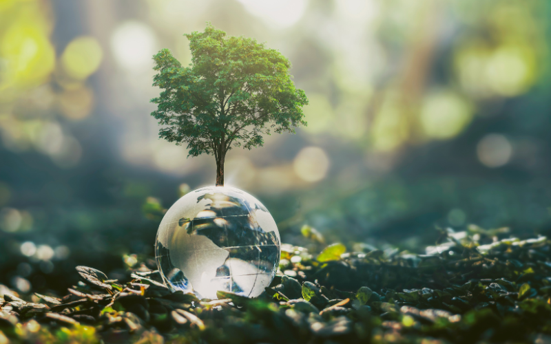 _How You Can Make a Difference